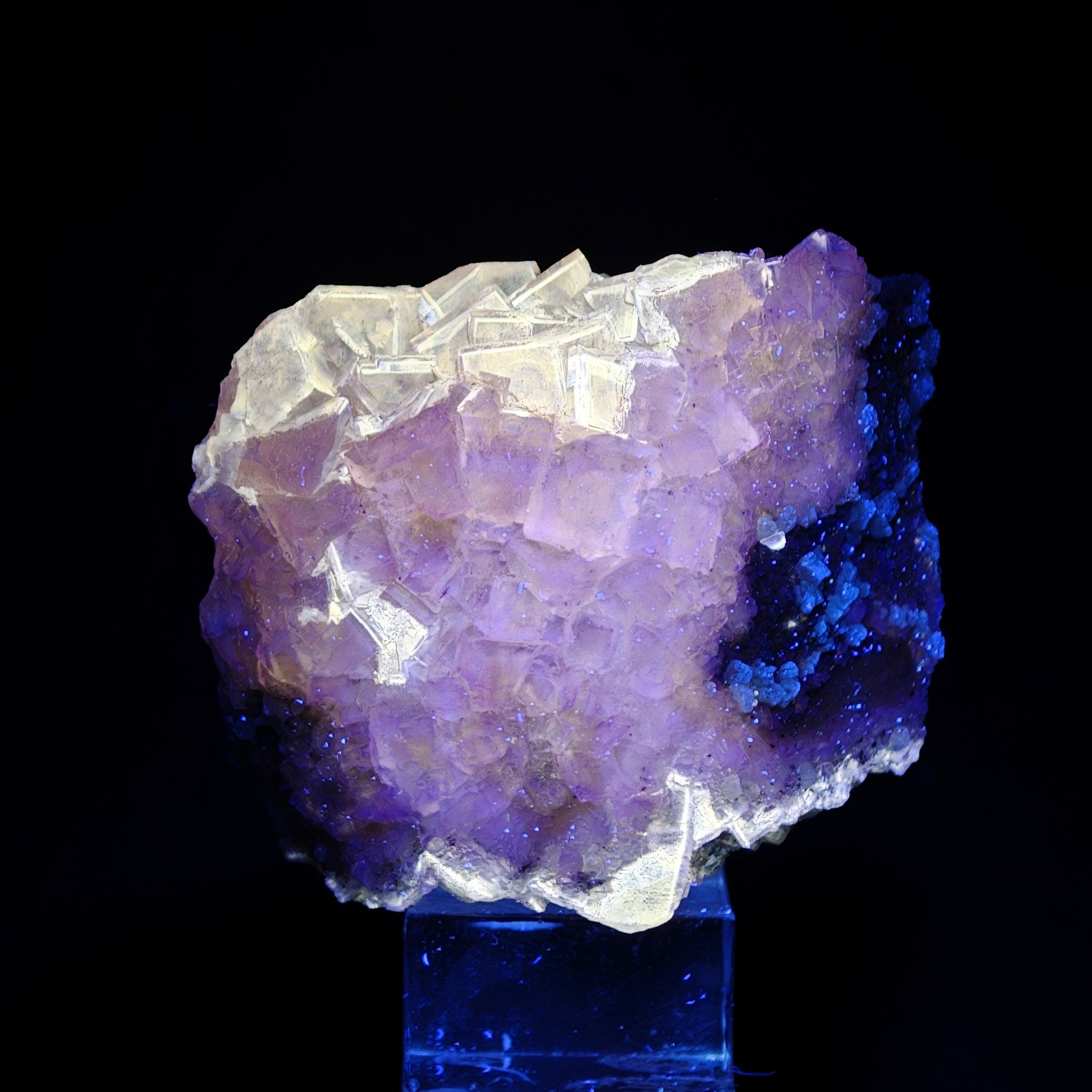 FLUORITE & CALCITE – Golden Yellow Cubes, Moscona Mine, Asturias, Spain