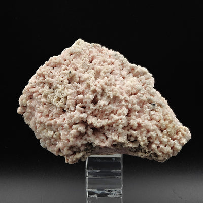 Side angle of pink Rhodochrosite and Calcite specimen on acrylic stand, Kassandra, Greece