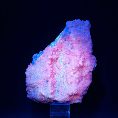 Side view of Rhodochrosite specimen glowing pink and blue under UV light
