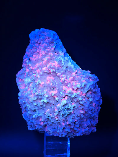 Rhodochrosite and Calcite specimen under long-wave UV light showing blue and pink fluorescence