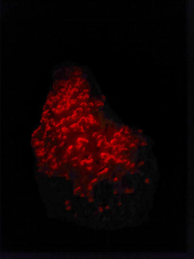 Rhodochrosite specimen under long-wave UV light displaying rare red fluorescence, Kassandra, Greece