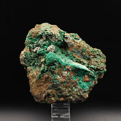Whole malachite specimen on matrix displaying green botryoidal aggregates, Sardinia, Italy