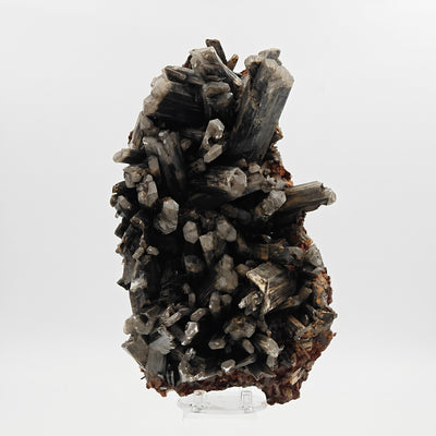 Full view of dark grey Selenite gypsum cluster on matrix, Rosignano, Italy