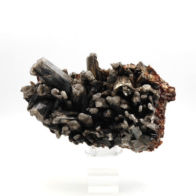 Side view of Selenite gypsum crystal cluster displayed on acrylic stand
