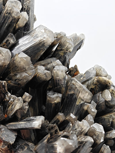 Detail of Selenite gypsum crystal blades with glassy luster