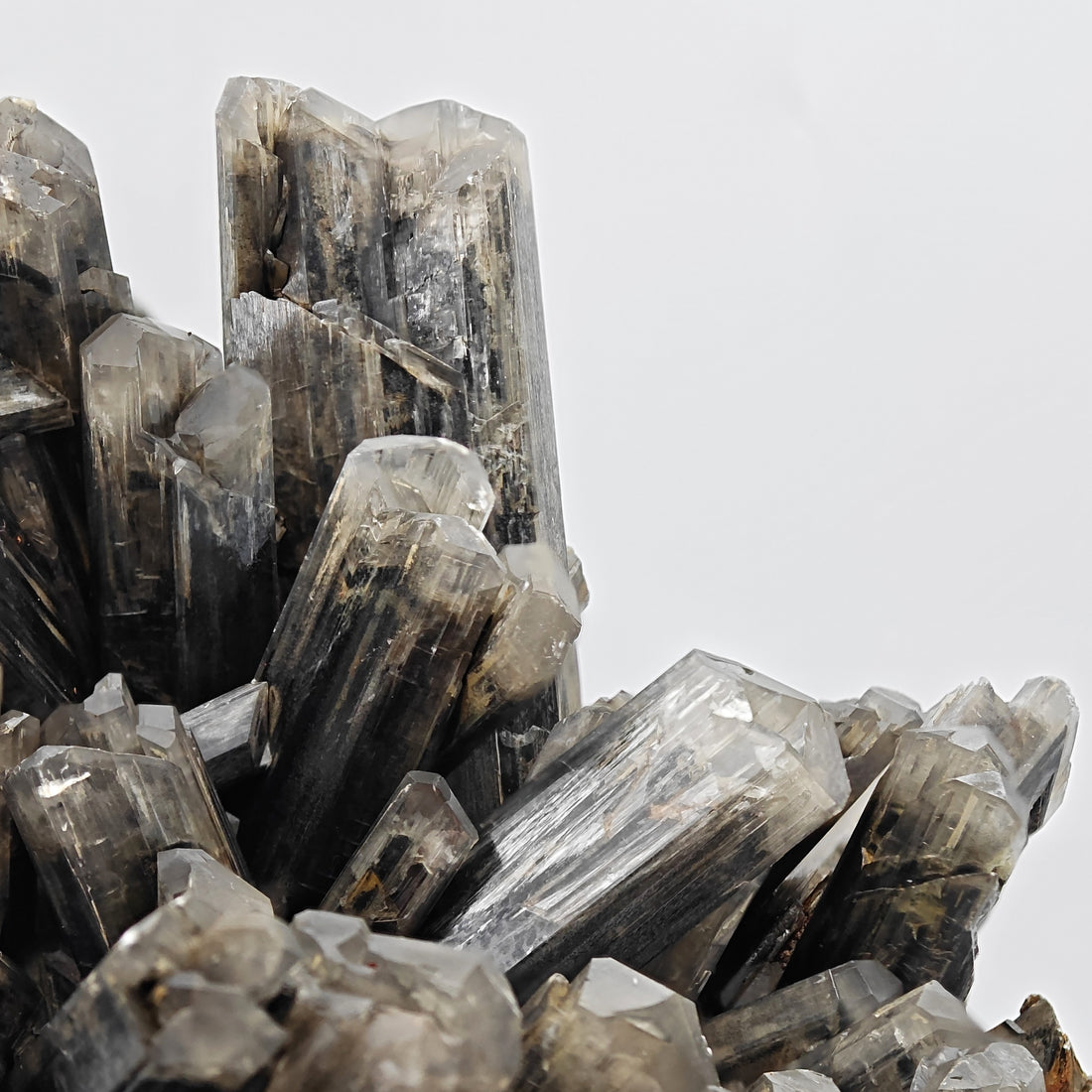 GYPSUM – Dark Grey Selenite Cluster, Anthropogenic Origin, Rosignano, Italy