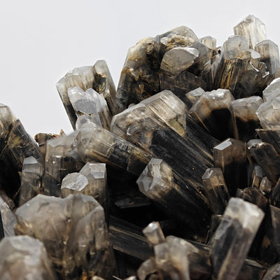 Close-up of Selenite gypsum crystal cluster showing dark grey coloration