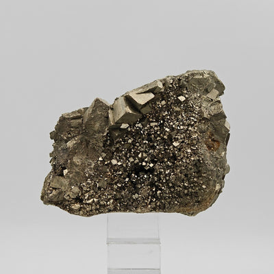 Reverse face of pyrite specimen showing dense cubic crystal druse, Campiglia Marittima, Tuscany