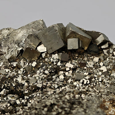 Detail of well-formed pyrite cubes on matrix, Campiglia Marittima, Livorno Province, Italy