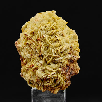 Siderite specimen with fan-shaped crystals on matrix, Brosso Mine, Piedmont
