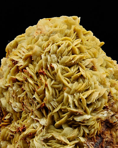 Detailed view of pale golden-yellow siderite crystal fans, Brosso Mine, Italy