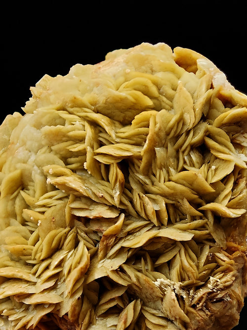 SIDERITE – Rare Yellow Fan-Shaped Crystals, Brosso Mine, Italy