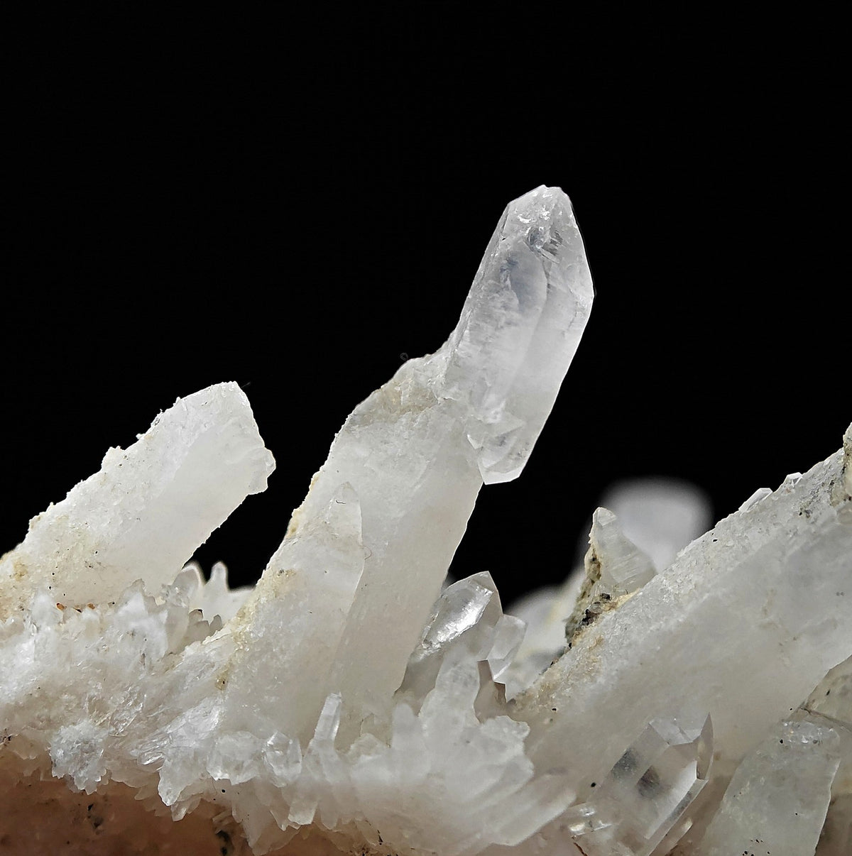 QUARTZ – Dense Cluster with Scepter Crystals, Piedmont, Italy