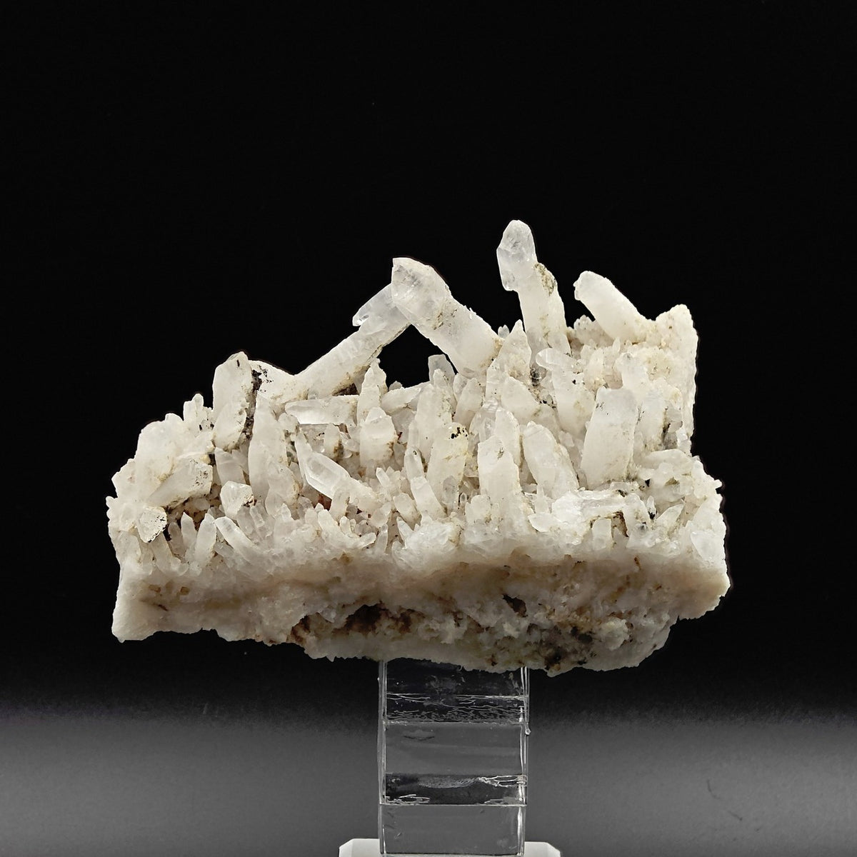 QUARTZ – Dense Cluster with Scepter Crystals, Piedmont, Italy