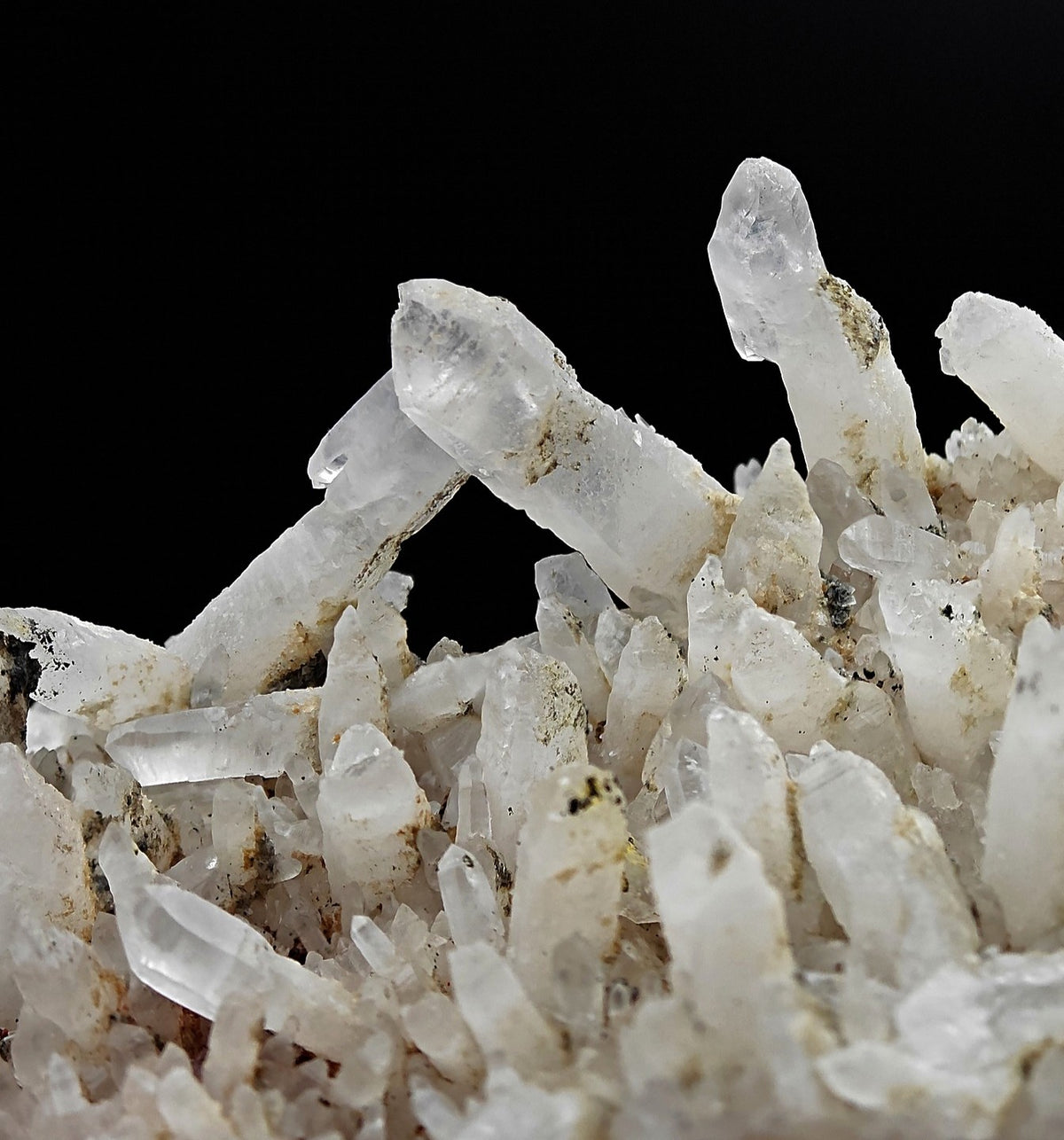 QUARTZ – Dense Cluster with Scepter Crystals, Piedmont, Italy