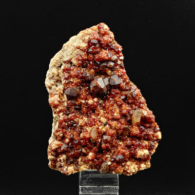 Full view of spessartine garnet specimen on smoky quartz matrix from Tongbei, Fujian