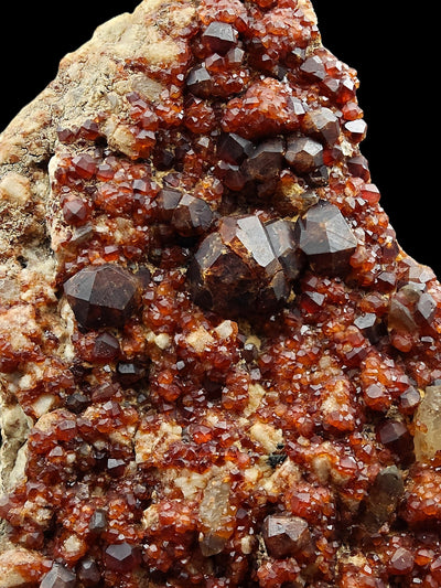 Dense cluster of reddish-brown spessartine garnet crystals on matrix, Fujian, China