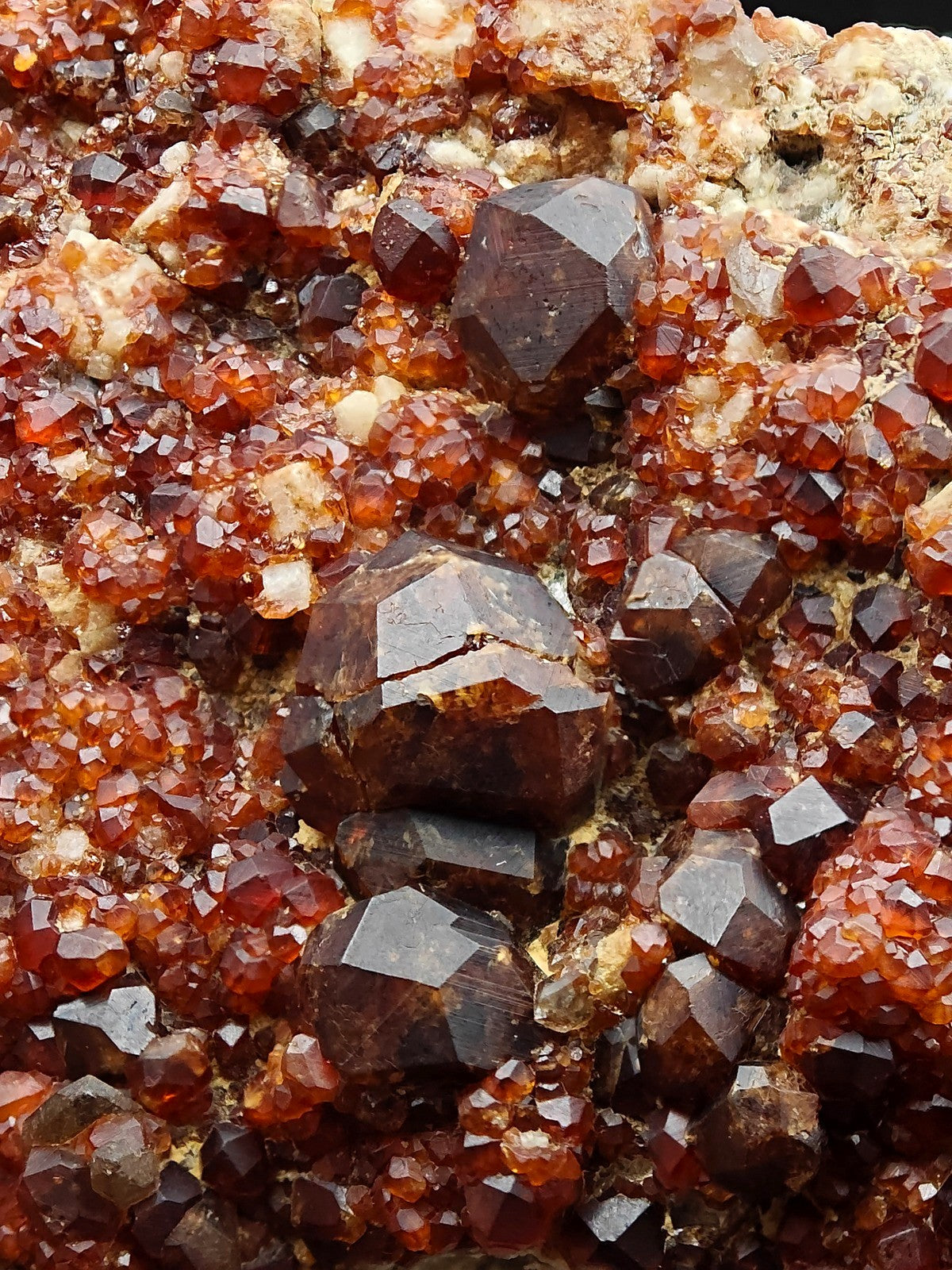 SPESSARTINE GARNET – Reddish-Brown Dodecahedral Crystals, Fujian, China