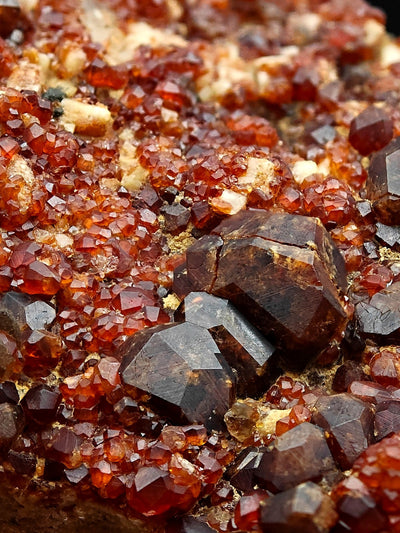 Side angle of spessartine garnet crystal cluster on matrix, Tongbei, China