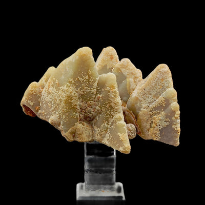 Front view of smithsonite crested crystal formation on matrix, San Giovanni Mine, Sardinia
