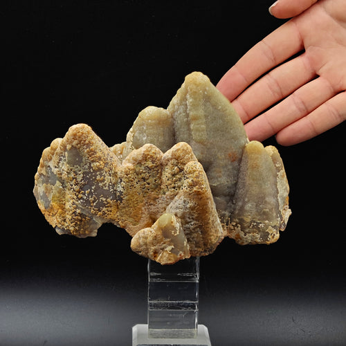 SMITHSONITE – Crested Crystal Growth, San Giovanni Mine, Sardinia, Italy