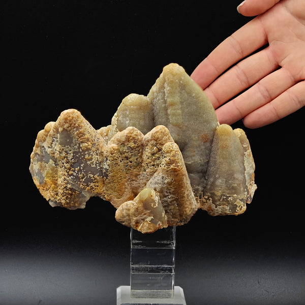 SMITHSONITE – Crested Crystal Growth, San Giovanni Mine, Sardinia, Italy