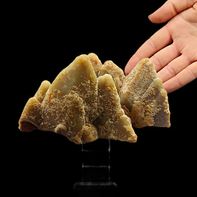 Smithsonite crest-shaped crystal cluster viewed from the side with hand for scale, Sardinia, Italy
