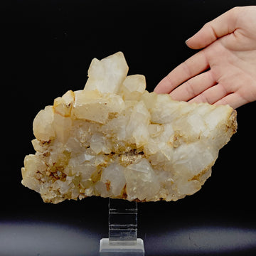 YELLOW QUARTZ – Large Prismatic Yellow Cluster, Gran Paradiso, Italy