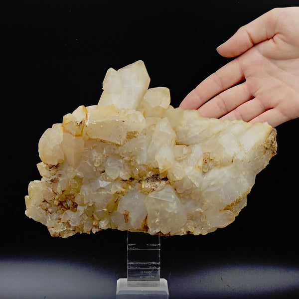 YELLOW QUARTZ – Large Prismatic Yellow Cluster, Gran Paradiso, Italy