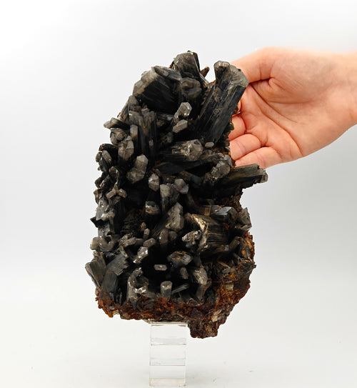 GYPSUM – Dark Grey Selenite Cluster, Anthropogenic Origin, Rosignano, Italy