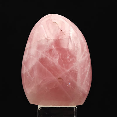 Close-up of a single polished Rose Quartz tumbled stone with saturated pink color