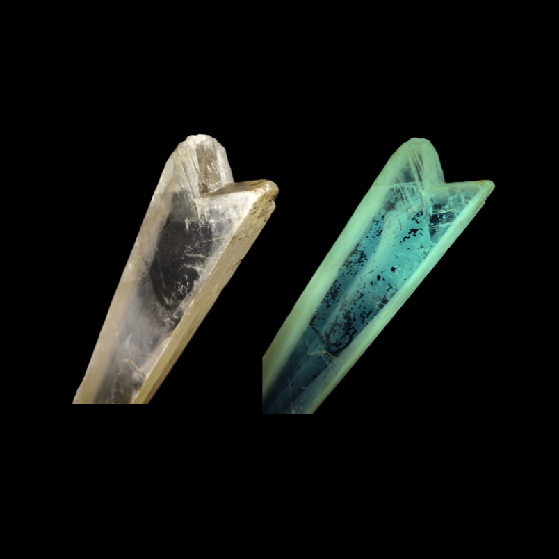 GYPSUM "SWORD" – Giant Natural Swallow-Tail Crystal (54.5 cm), Italy