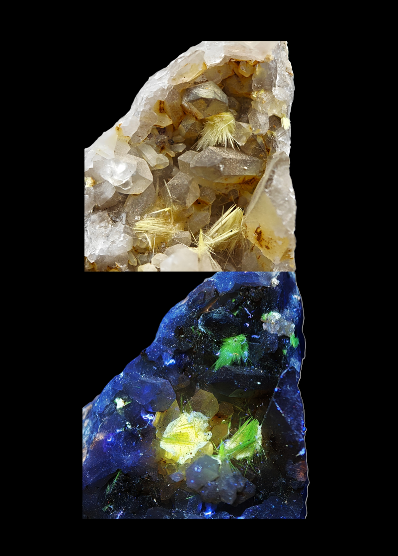 URANIUM URANOPHANE – UV-Reactive Yellow Crystals on Matrix, Rössing Mine, Namibia