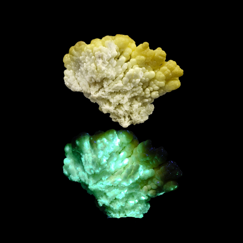 HYALITE OPAL – Extremely Rare Yellow Coralloid Crystals, Santa Lucia Mine, Sardinia, Italy