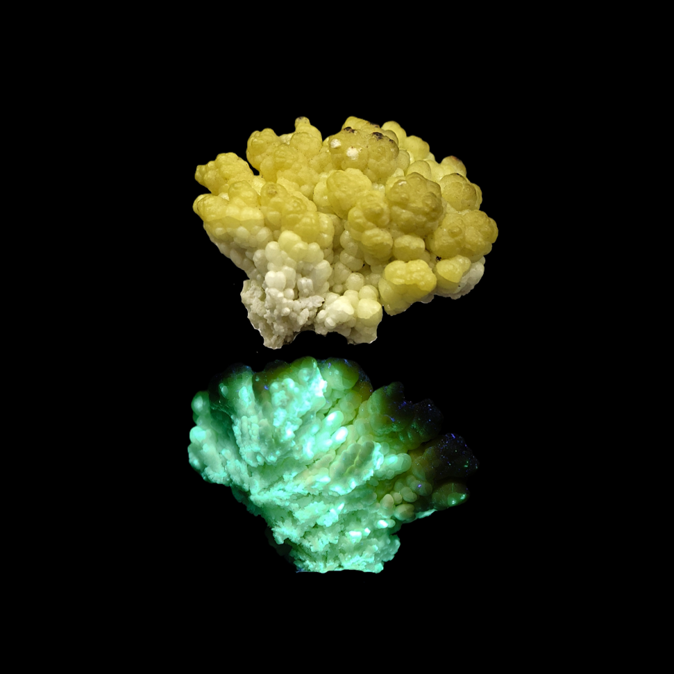 HYALITE OPAL – Extremely Rare Yellow Coralloid Crystals, Santa Lucia Mine, Sardinia, Italy