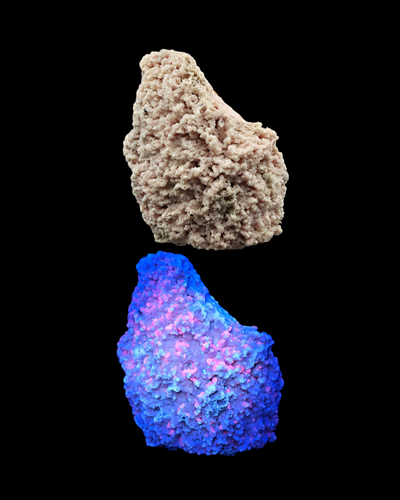 Comparison image of Rhodochrosite specimen in natural light and under UV fluorescence