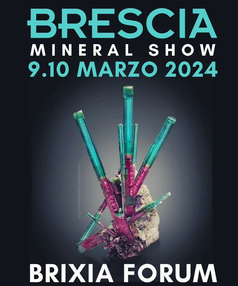 Brescia Mineral Show - Image 1