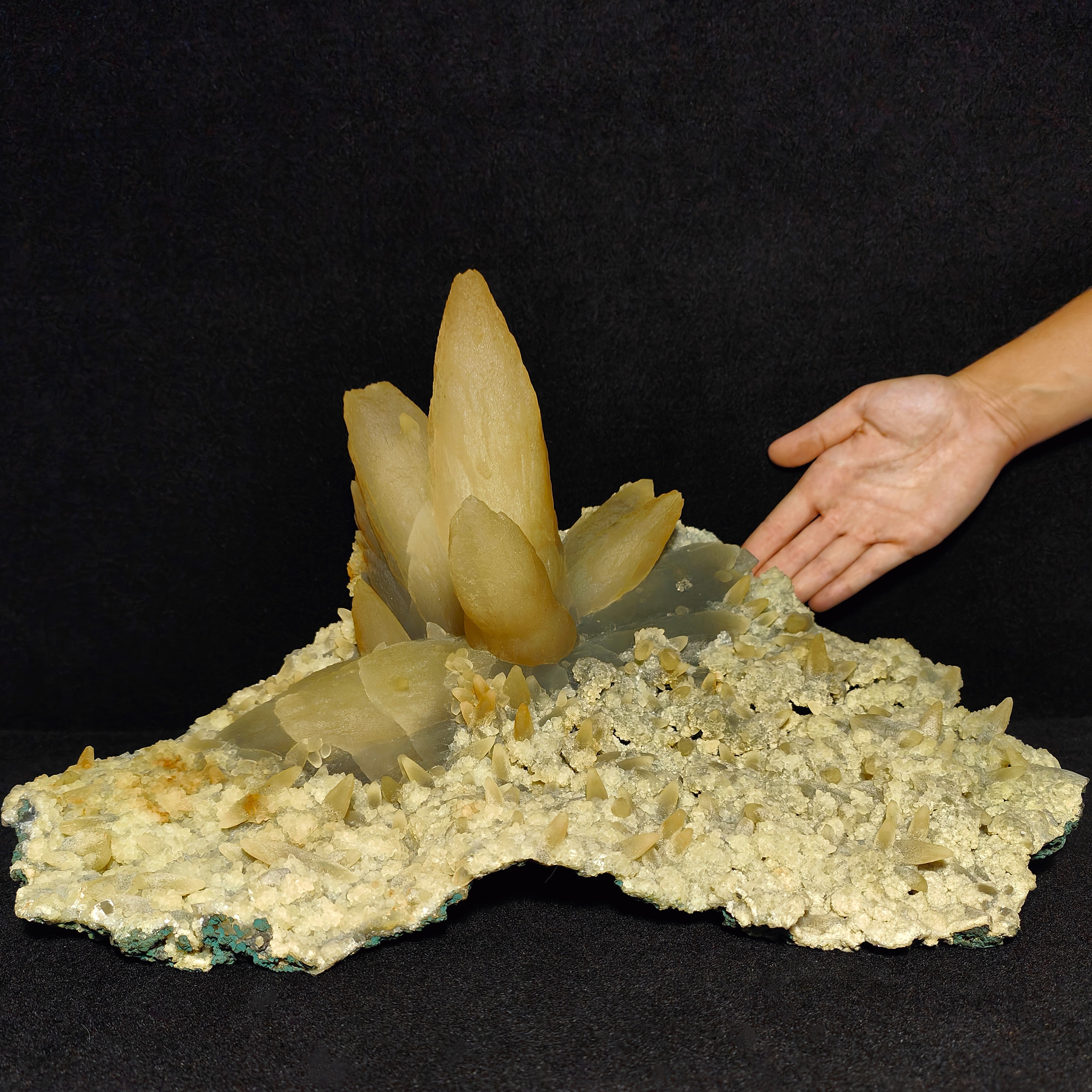 CALCITE – Flower-Shaped Cluster, 100+ UV-Fluorescent Crystals, Iraí, Brazil