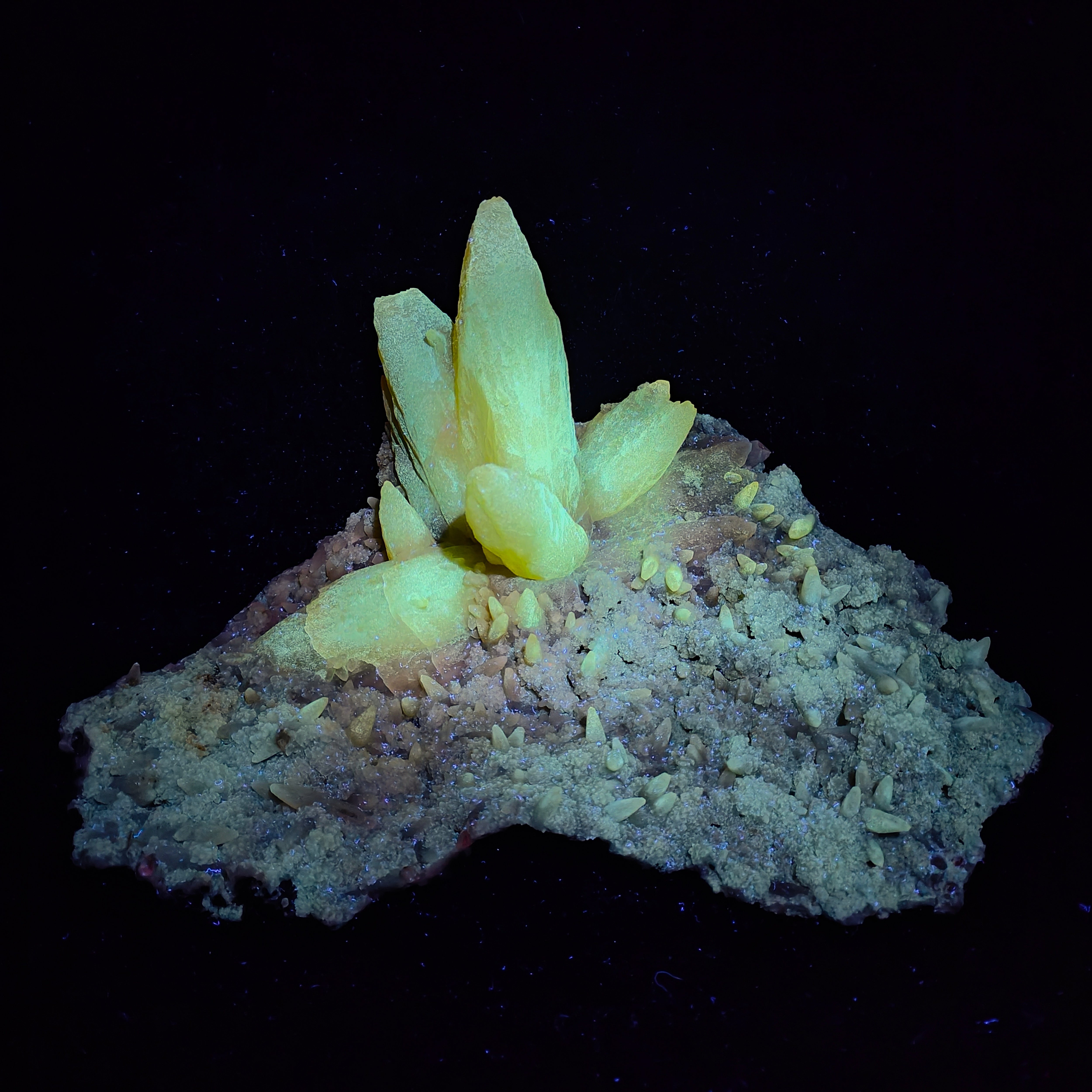 CALCITE – Flower-Shaped Cluster, 100+ UV-Fluorescent Crystals, Iraí, Brazil