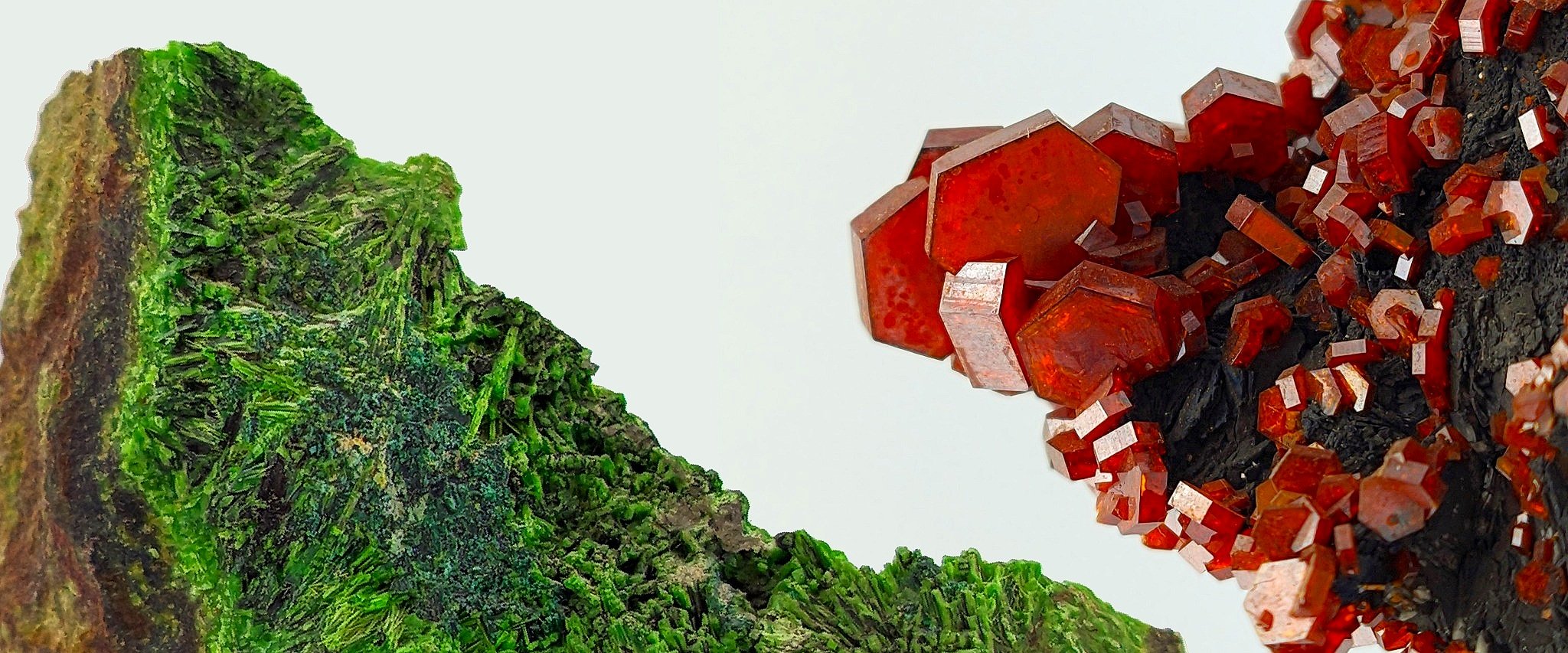 slider image 1621243260e1af0c20-0
