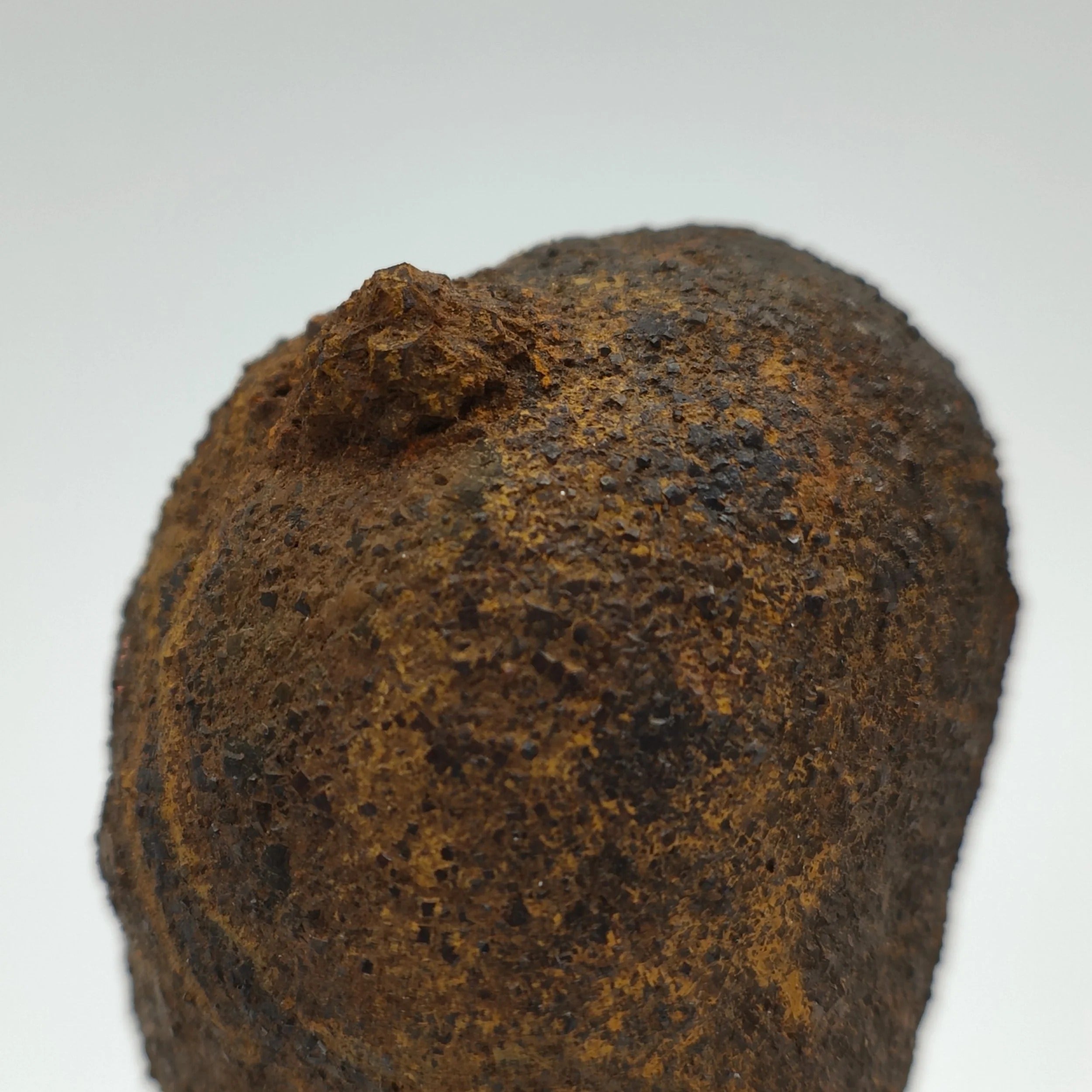 MARCASITE NODULE – Natural Marcasite from Montauto, Tuscany, Italy