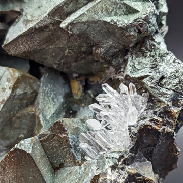 TETRAHEDRITE & QUARTZ – Historic Mineral Association from Casapalca, Peru (1970)