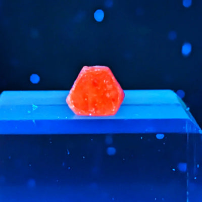 Ruby crystal under UV light glowing intense red, Ampanihy, Madagascar