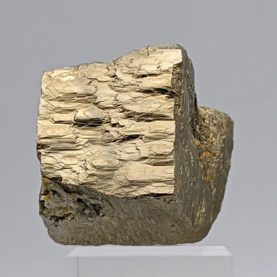 Pyrite cube with striated golden face displayed on acrylic stand
